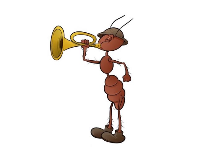 ant