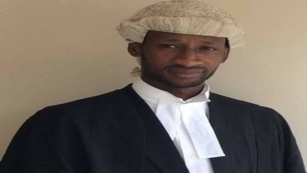 lawyer jallow