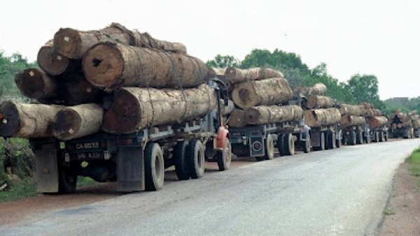 timber