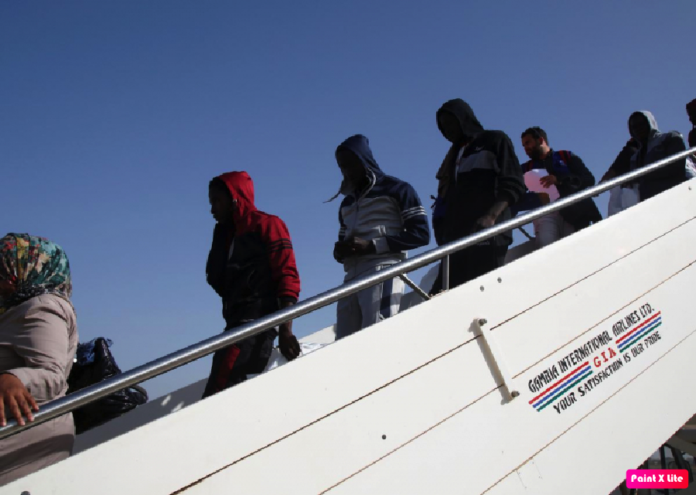 deportation