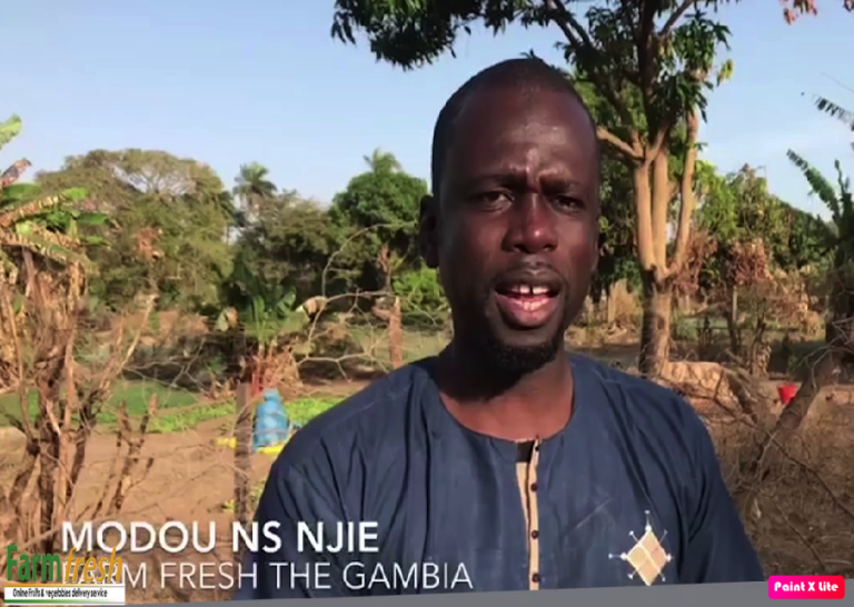 Techpreneur connects Gambian farmers to investors