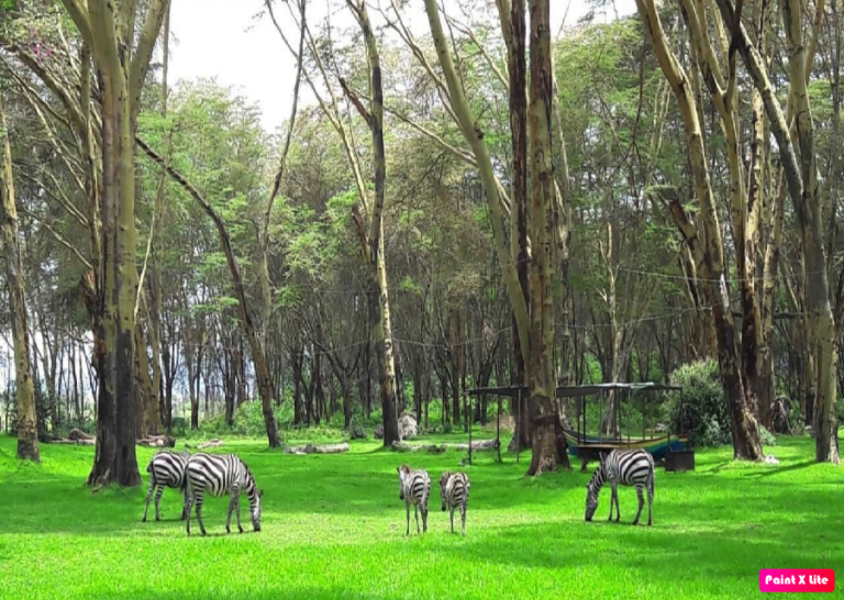 Making peace with nature is possible, if we start now