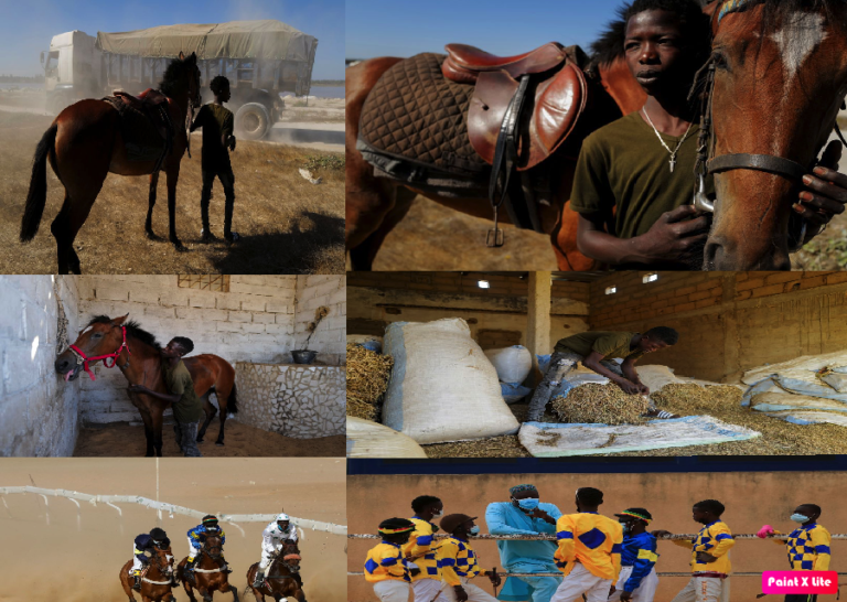 Senegal’s teenage jockey races to fame