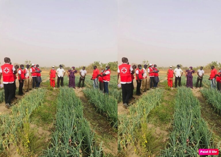 GRCS, partners invest over D7M in women’s gardens