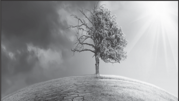 tree