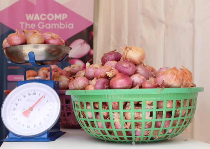 Local Onions