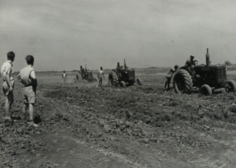 The road to prosperity — or madness ￼