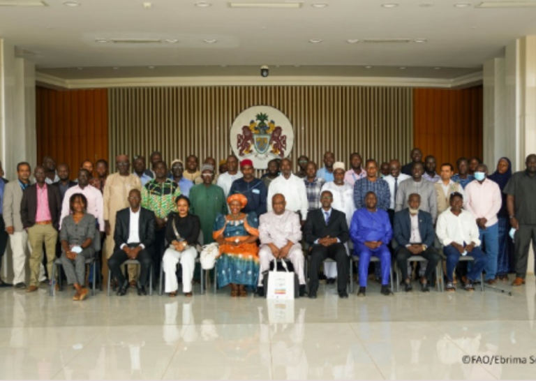 FAO, partners renew commitment to transform agri-food systems in Gambia FAO Gambia and partners commence formulation of a new CPF for 2023-2027