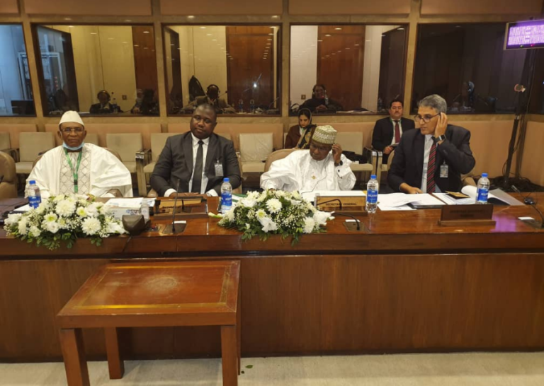 Gambia briefs OIC summit on Rohingya trial