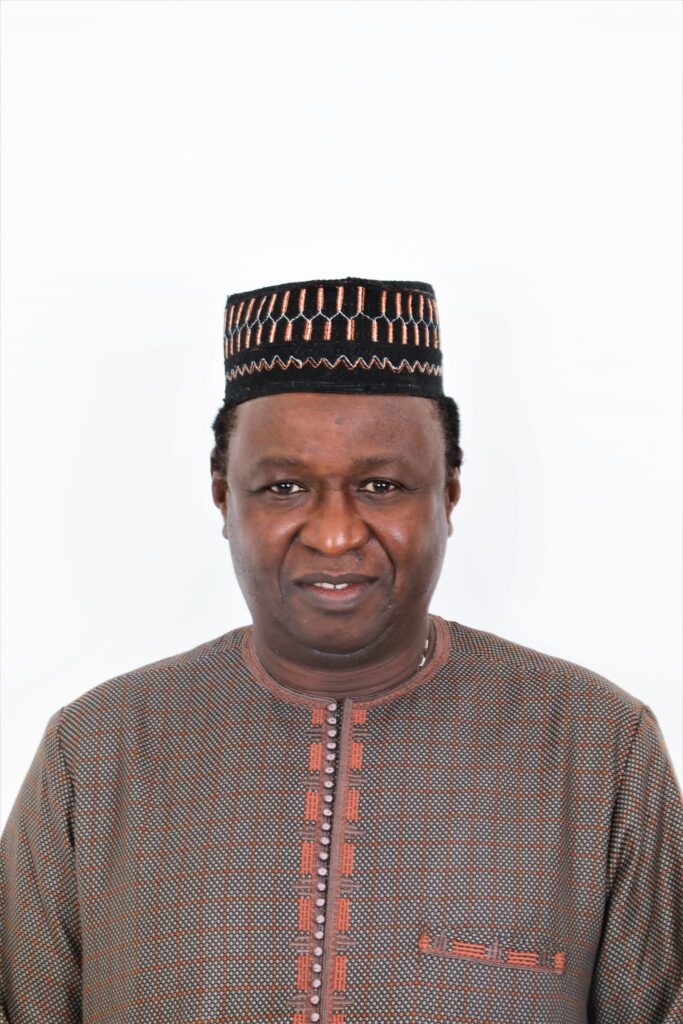 Seyaka Sonko, Minister of Interior