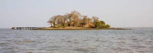 Abuko 2
