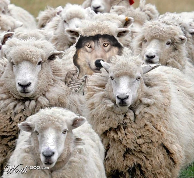 wolf-in-sheep-clothing