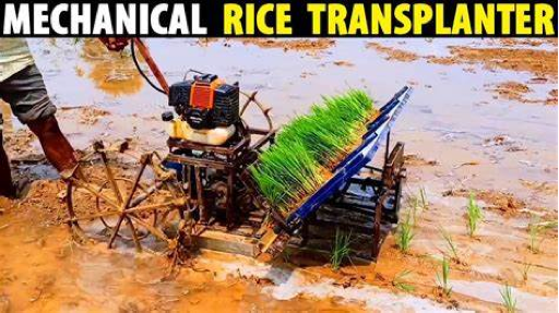 Rice Transplanter