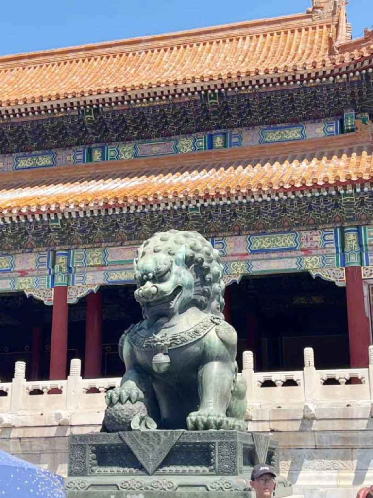 lion23