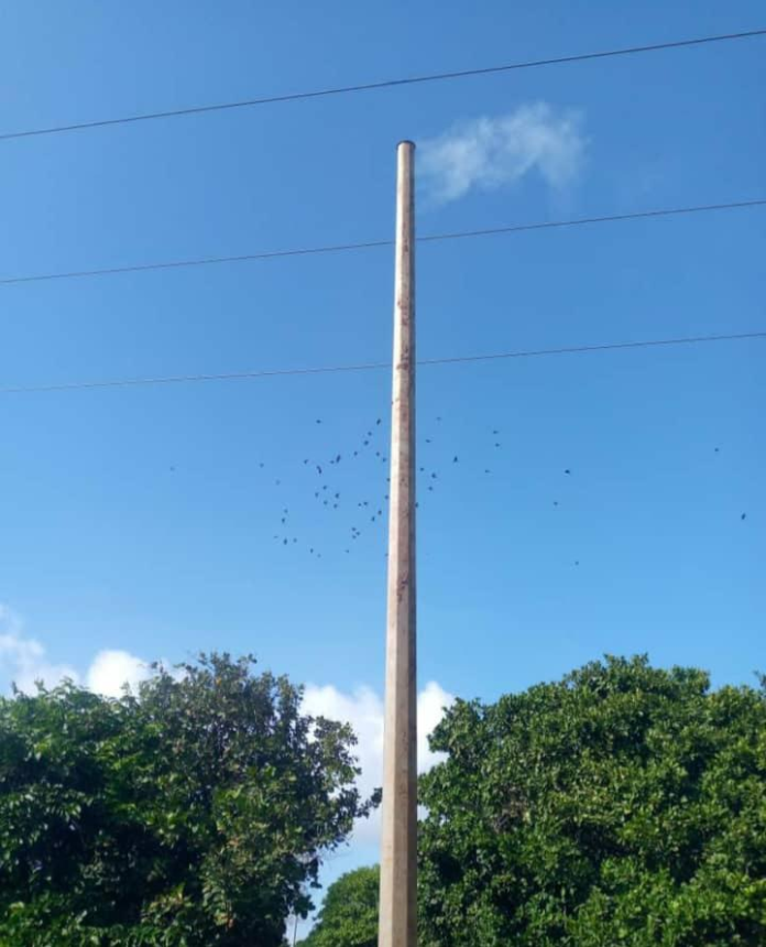 poles