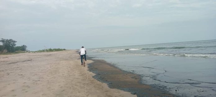 IMG-20251121-WA0022
