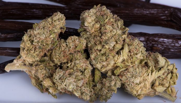 Vanilla,Kush,Cannabis,Displayed,On,A,Table,Closeup,Next,To