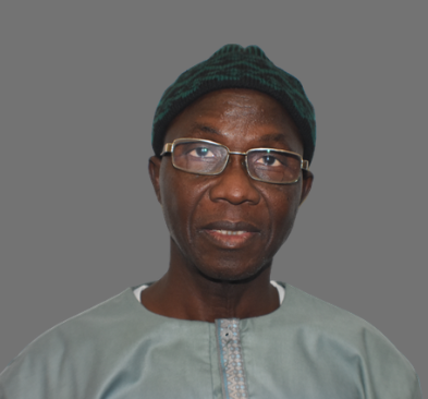 PDOIS SAYS WITHOUT A SINGLE COALITION, OPPOSITION MAY LOSE TO BARROW